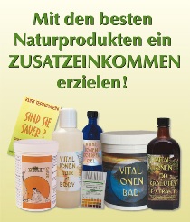 Zusatzeinkommen Zusatzeinkommen